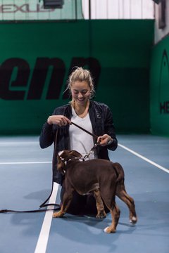 Meet and Greet am 10.12.16 285 - Meet and Greet mit Carina Witthoeft